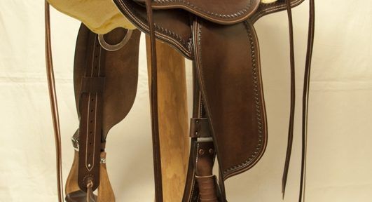 Western Dressage Equitation 02