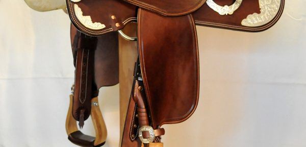 Show Horsemanship 01