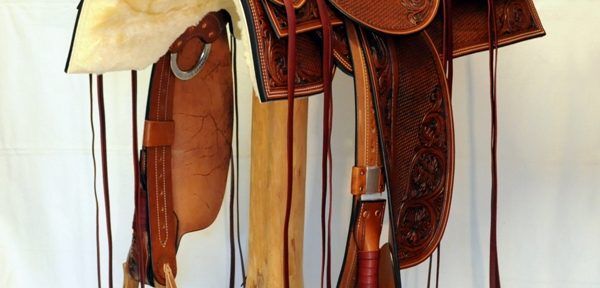Western Dressage No.007