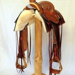 Western Dressage No.007