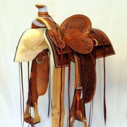 Western Dressage No.007