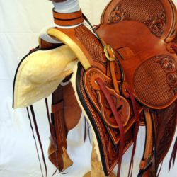 Western Dressage No.007