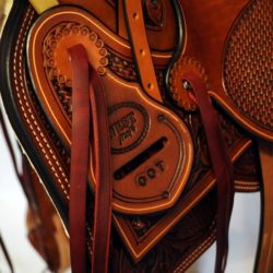 Western Dressage No.007