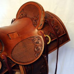 Western Dressage No.007