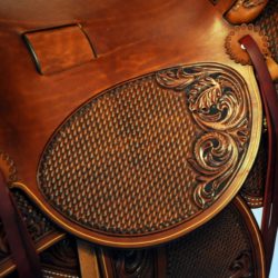 Western Dressage No.007