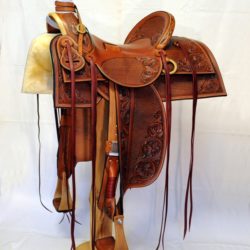 Western Dressage No.007
