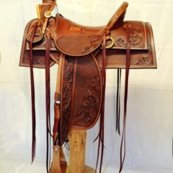 Western Dressage No.007