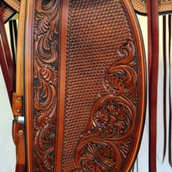 Western Dressage No.007