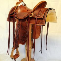Western Dressage No.007