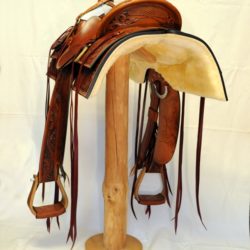 Western Dressage No.007