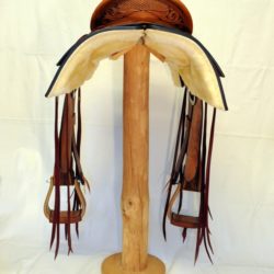 Western Dressage No.007