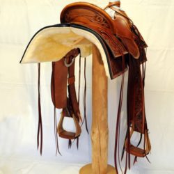 Western Dressage No.007