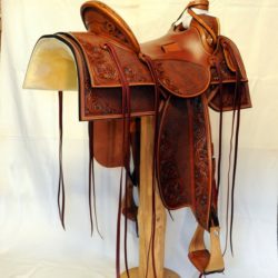 Western Dressage No.007