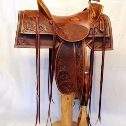 Western Dressage No.007