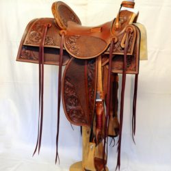 Western Dressage No.007