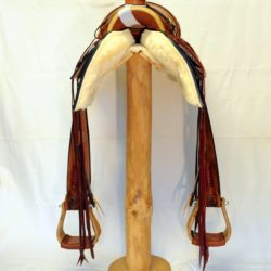 Western Dressage No.007