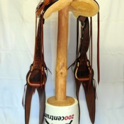 Modern Vaquero No.39