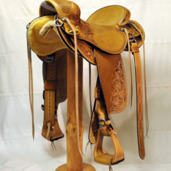 Will James Modified 05