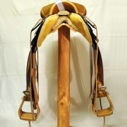 Will James Modified 05