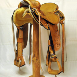 Will James Modified 05