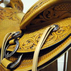 Will James Modified 05