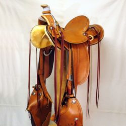 Modern Vaquero No.43