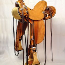 Modern Vaquero No.47