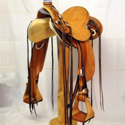 Modern Vaquero No.47