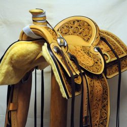 Western Dressage No.008