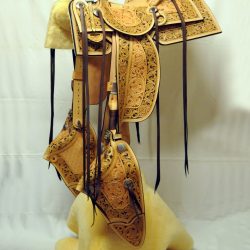 Western Dressage No.008