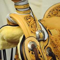 Western Dressage No.008