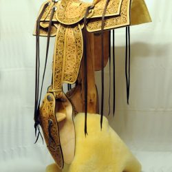 Western Dressage No.008