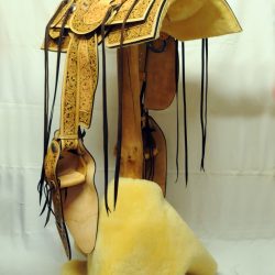 Western Dressage No.008