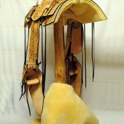 Western Dressage No.008