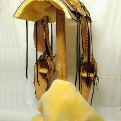 Western Dressage No.008