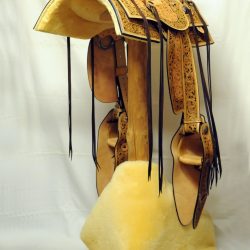 Western Dressage No.008