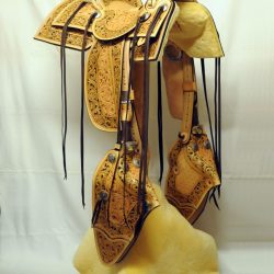 Western Dressage No.008