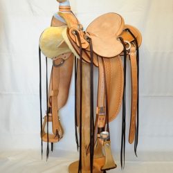 Modern Vaquero No.50