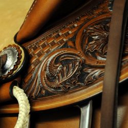 Modern Vaquero No.53