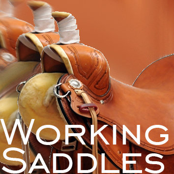 Working_saddles