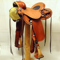 Will James Modified 07