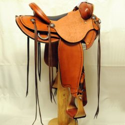 Will James Modified 07