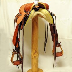 Will James Modified 07