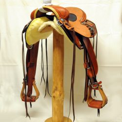 Will James Modified 07