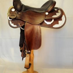 Show Horsemanship 01