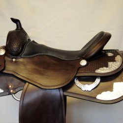 Show Horsemanship 01