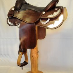 Show Horsemanship 01