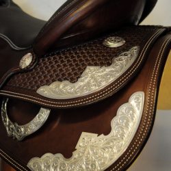 Show Horsemanship 01