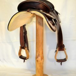 Show Horsemanship 01