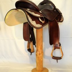 Show Horsemanship 01